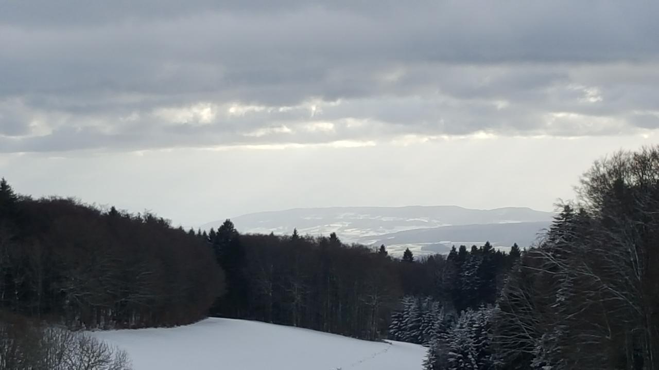 Hotel Gasthof Zum Hirschen Strittmatt Esterno foto